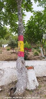 Aldea El Centenillo. 
