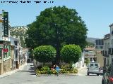 Plaza de la Constitucin. Jardn entre las dos calles