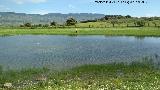 Laguna del Pizorro. 