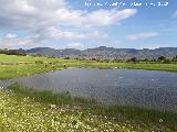 Laguna del Pizorro. 