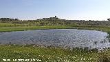 Laguna del Pizorro. 