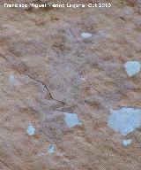 Pinturas rupestres de la Cueva del Plato grupo I. Antropomorfo fi inferior izquierdo