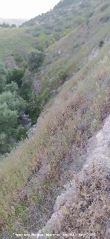 Cerro Toledo. Ladera