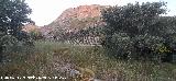 Cerro Toledo. Vistas hacia La Veleta