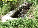 Fuente de las Cuevas. 