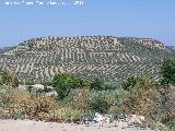 Albalate