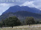 Cerro Cagasebo. En primer trmino Matamulillos al fondo Cagasebo