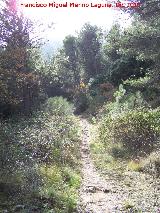 Senda de la Hoya del Cao