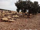 Torreparedones. Restos arqueolgicos