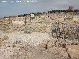 Torreparedones. 