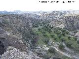 Desierto de Tabernas. Rambla