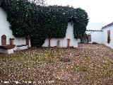 Iglesia de Santa Mara de la Mota. Patio