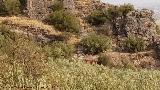 Castillo de Allende. Muros