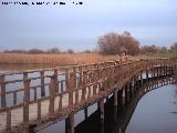 Parque Nacional de Las Tablas de Daimiel. 