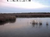 Parque Nacional de Las Tablas de Daimiel. 