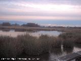 Parque Nacional de Las Tablas de Daimiel. 