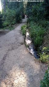 Alhambra. Acequia del Sultn. 