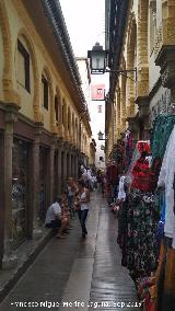 Alcaicera. 