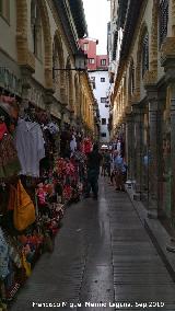 Alcaicera. 