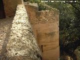 Alhambra. Torren de Barba. 