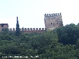 Alhambra. Torre de Mohamed. Extramuros