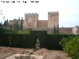 Alhambra. Patio de Machuca. 