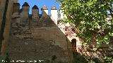 Alhambra. Torre del Cad. Desage y almenas de su lienzo derecho