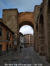 Puerta de Elvira. Intramuros