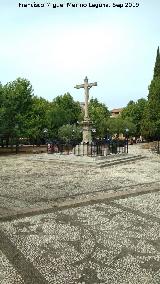 Campo del Prncipe. Solera