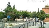 Campo del Prncipe. 