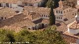 Casa de Castril. Desde la Alhambra