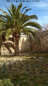 Palacio de Dar Al-Horra. Patio trasero