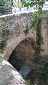 Puente de Aljibillo. 