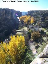 Molinos. 