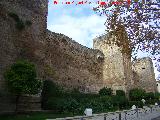 Castillo de Priego de Crdoba. 