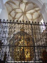 Colegiata de la Asuncin. Reja