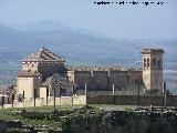 Colegiata de la Asuncin. 