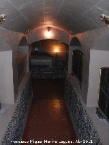 Colegiata de la Asuncin. Cripta