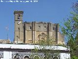 Colegiata de la Asuncin. 