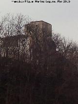 Castillo de los Condes de Cabra. 