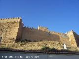 Alcazaba de Guadix. 