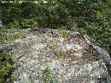 Poblado visigodo de El Castelln. Lagar o molino