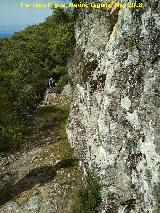 Poblado visigodo de El Castelln. Camino medieval