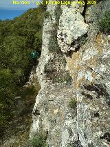 Poblado visigodo de El Castelln. Camino medieval