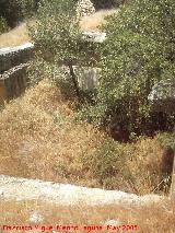 Castillo de Montefro. Aljibe grande del recinto superior