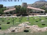 Balneario de Alicn de las Torres. Barbacoas