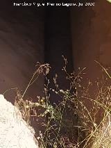 Mina de Agua del Llano de la Ermita. Acequia interna
