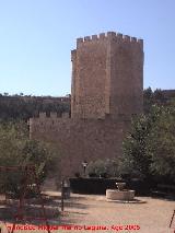 Castillo de Alcal del Jucar. 