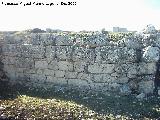 Yacimiento arqueolgico Ronda la Vieja. Muro del foro