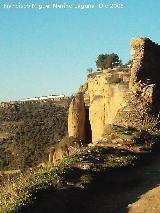 Asa de la Caldera. 